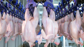 В России цены на курятину стали рекордными